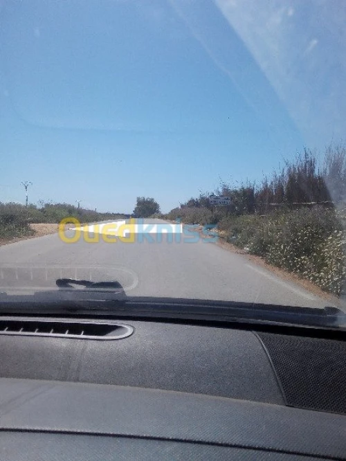 Vente Terrain Tipaza Chaiba