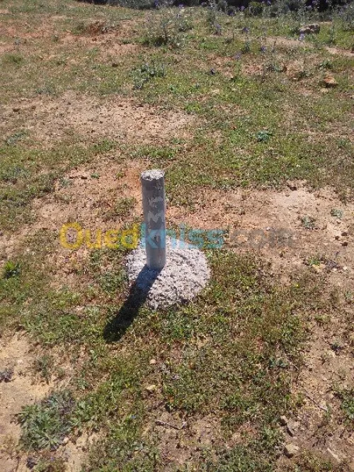 Vente Terrain Tipaza Chaiba