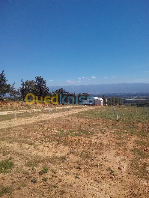 Vente Terrain Tipaza Chaiba