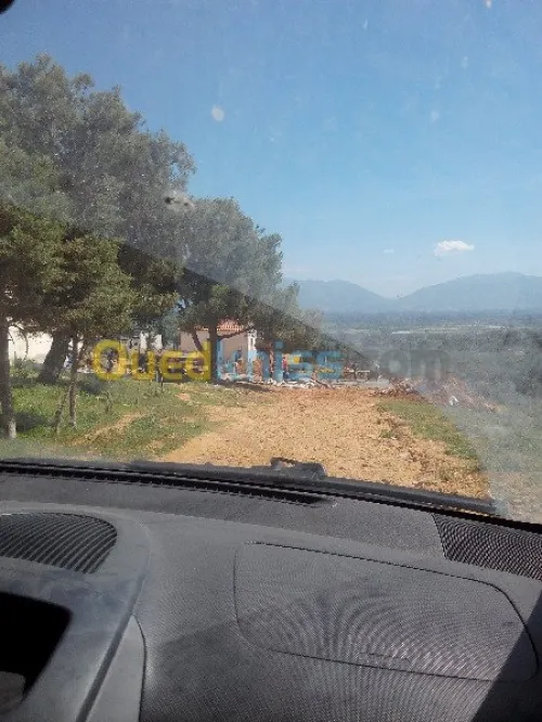Vente Terrain Tipaza Chaiba