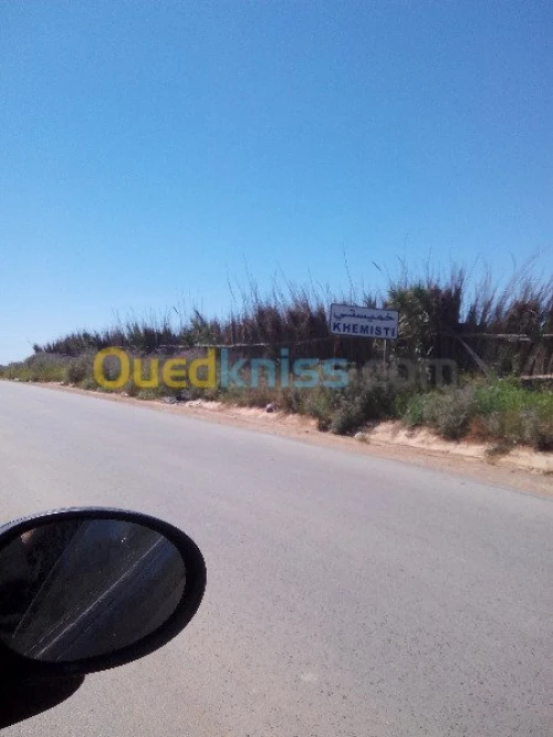 Vente Terrain Tipaza Chaiba