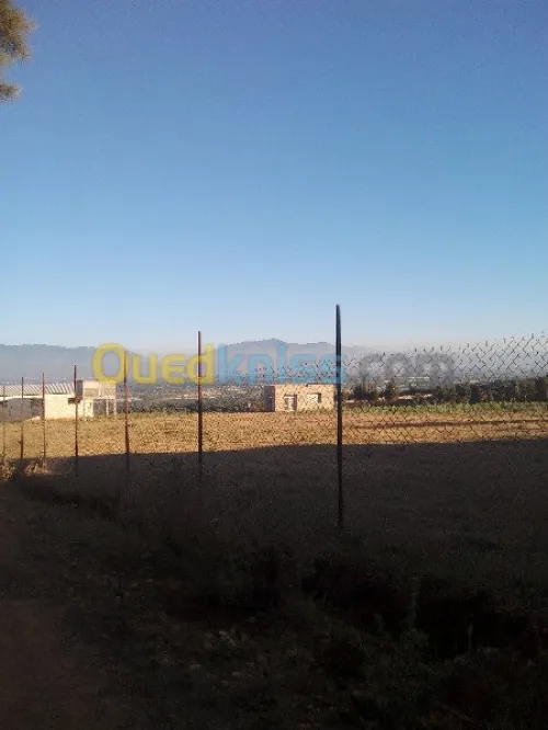 Vente Terrain Tipaza Chaiba
