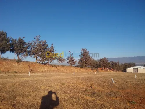 Vente Terrain Tipaza Chaiba