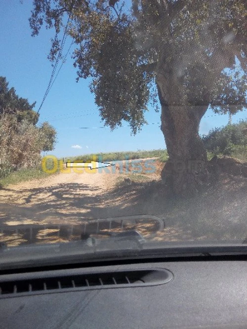 Vente Terrain Tipaza Chaiba