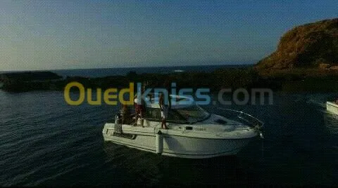 balades en mer oran