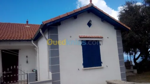 traitements de façade