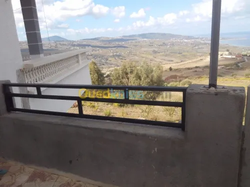 traitements de façade
