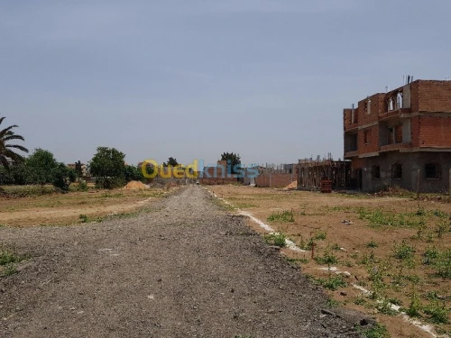 Vente Terrain Alger Birtouta