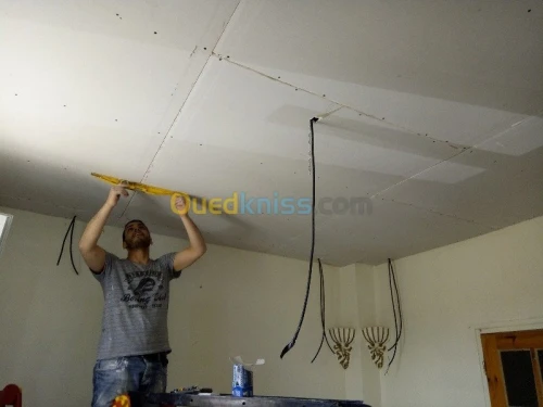 Décoration ont ba13 pvc plafond decapo