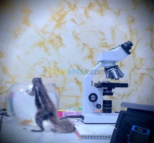 medecine vétérinaire 