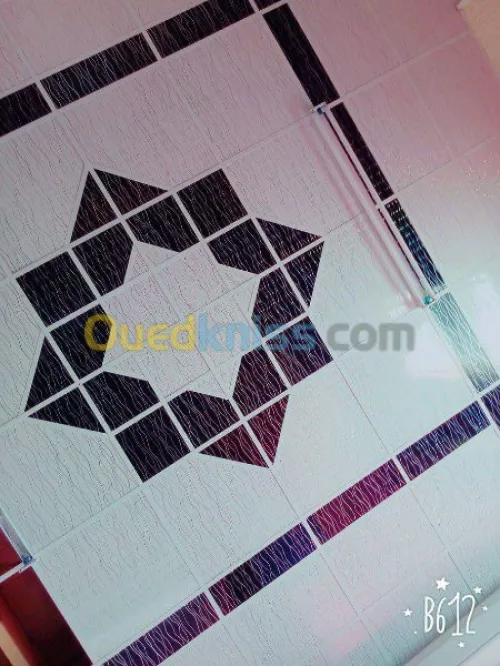 Faux plafond demontable 60*60