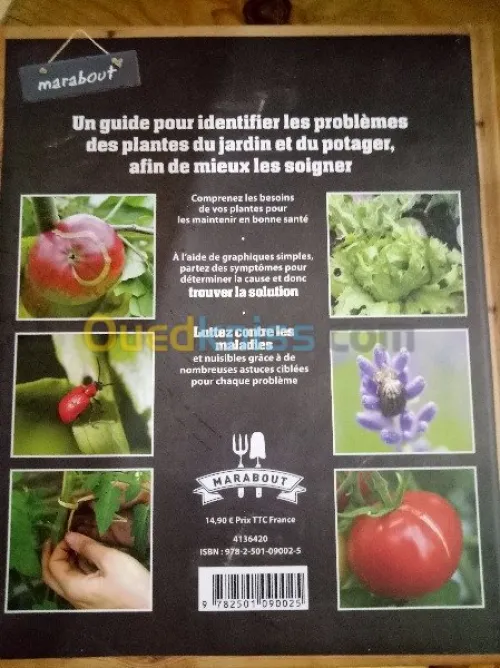 les premiers soins du jardin /potager 