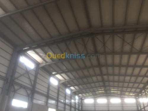 Location Hangar Alger Rouiba