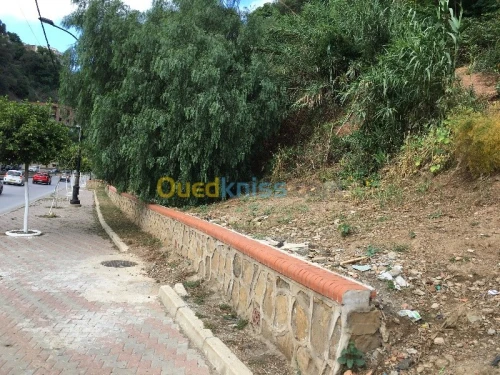 Vente Terrain Alger El biar