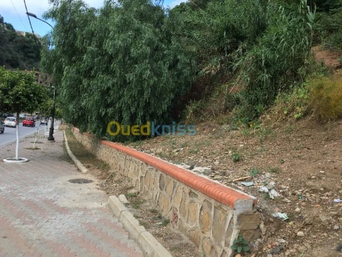 Vente Terrain Alger El biar