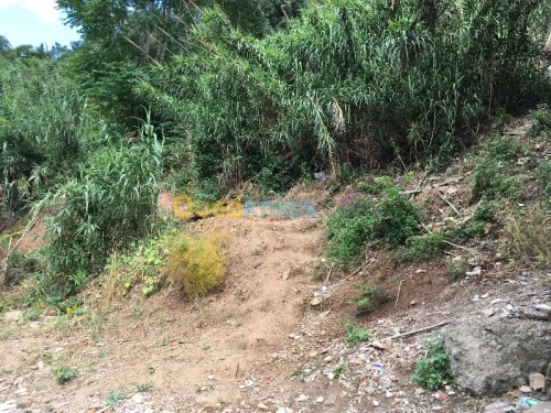 Vente Terrain Alger El biar