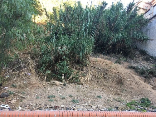 Vente Terrain Alger El biar