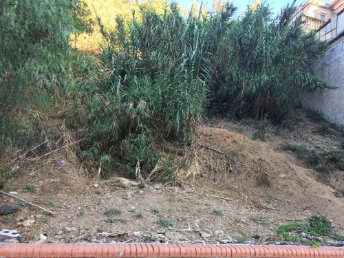 Vente Terrain Alger El biar