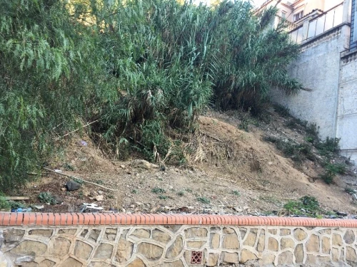 Vente Terrain Alger El biar