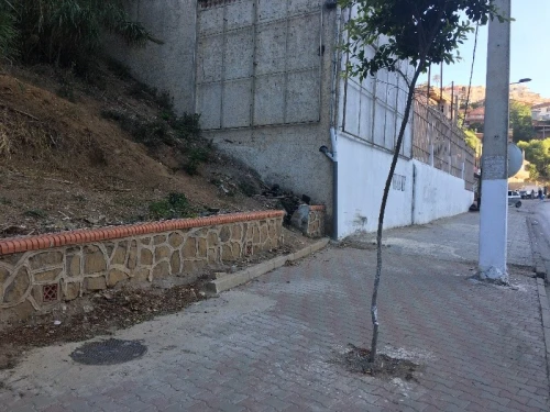 Vente Terrain Alger El biar