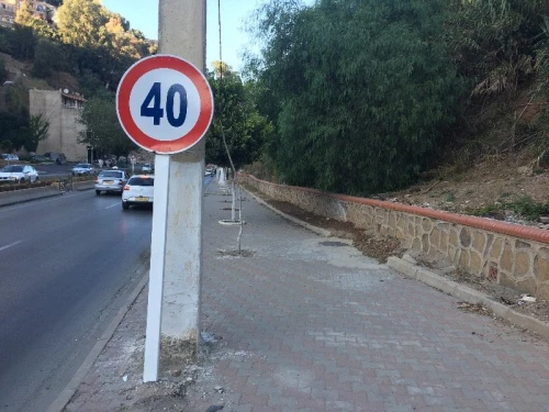 Vente Terrain Alger El biar