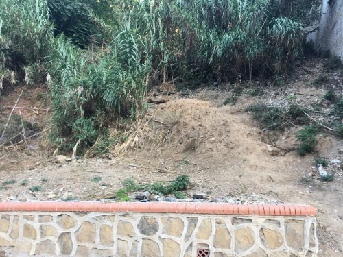 Vente Terrain Alger El biar