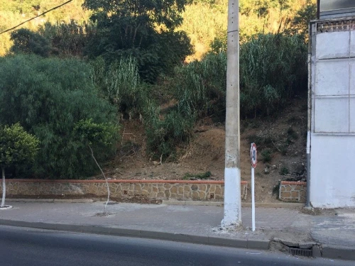 Vente Terrain Alger El biar