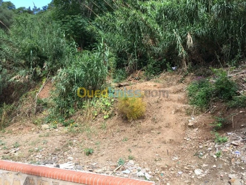 Vente Terrain Alger El biar