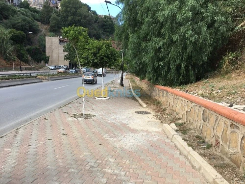 Vente Terrain Alger El biar