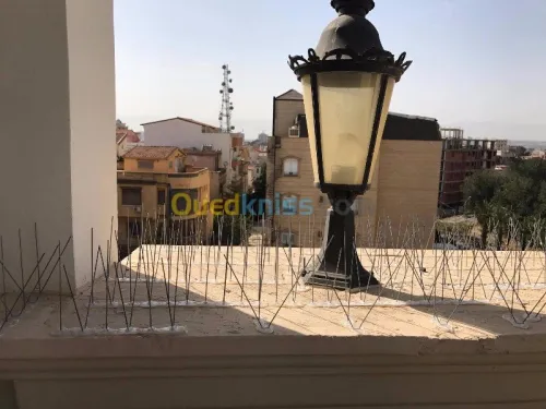 ANTI PIGEONS