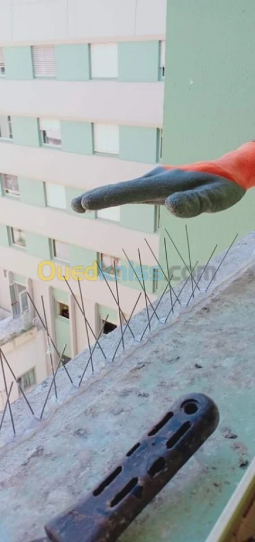 ANTI PIGEONS