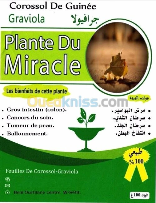 plante médicinal 