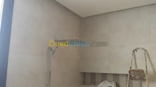 Pose placoplatre .plafond /mur/cloison