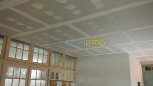 Pose placoplatre .plafond /mur/cloison