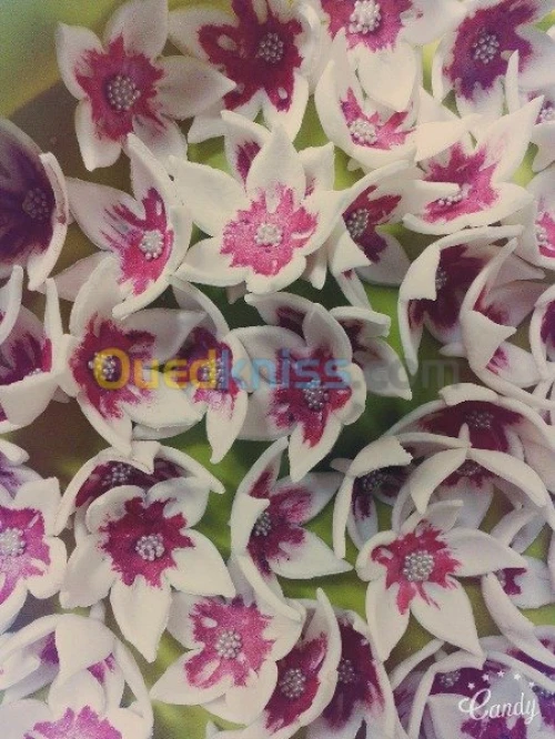 Gateaux Orientaux