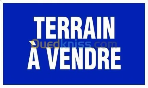 Vente Terrain Agricole Oran Oran