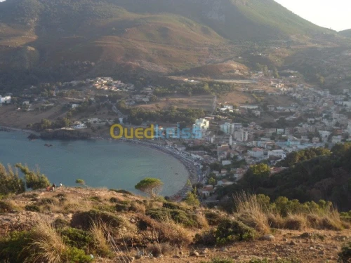 Location vacances Appartement Annaba Chetaibi 17