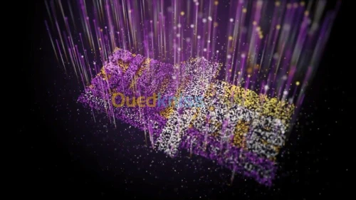 Motion Design /  video explicative / 