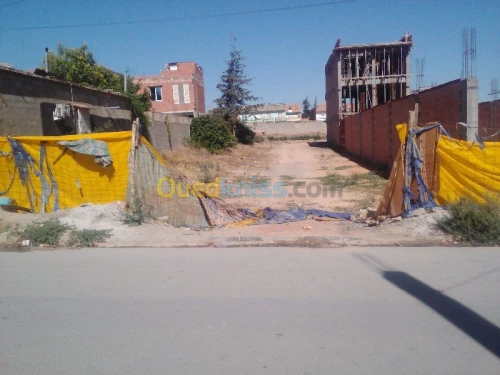 Vente Terrain Setif Ain azel
