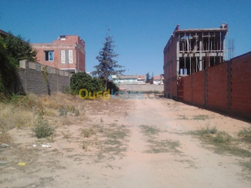 Vente Terrain Setif Ain azel