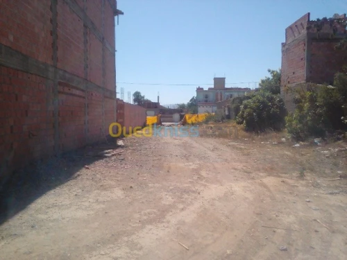Vente Terrain Setif Ain azel