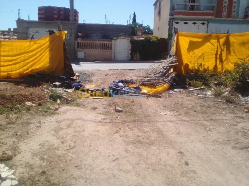 Vente Terrain Setif Ain azel