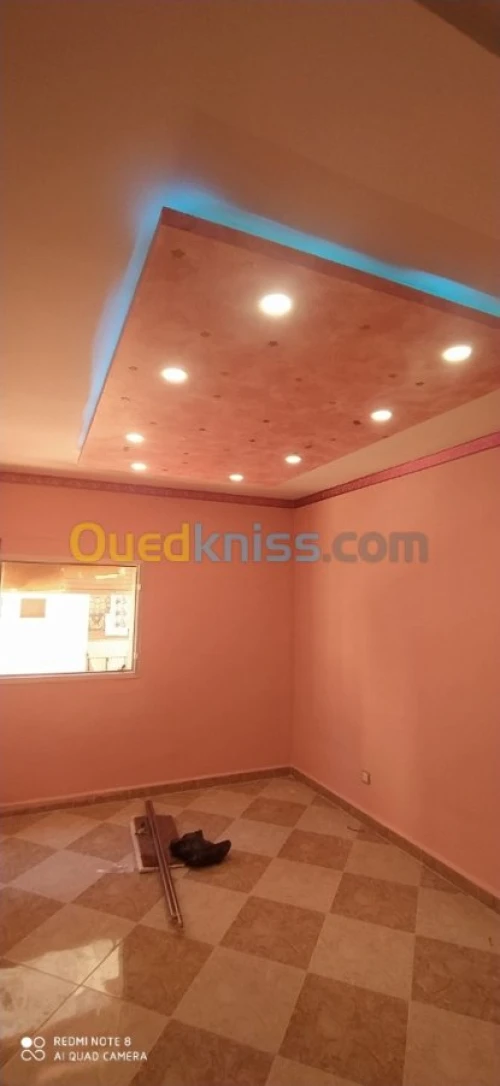 Peintre Décorateur & placoplâtre