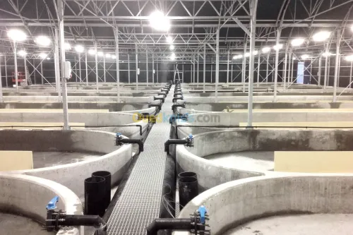 Agro-industrie