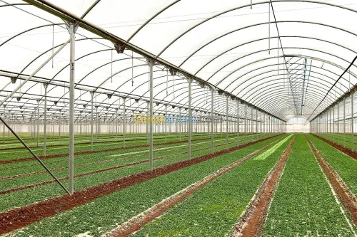 Agro-industrie