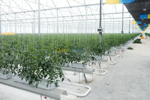 Agro-industrie