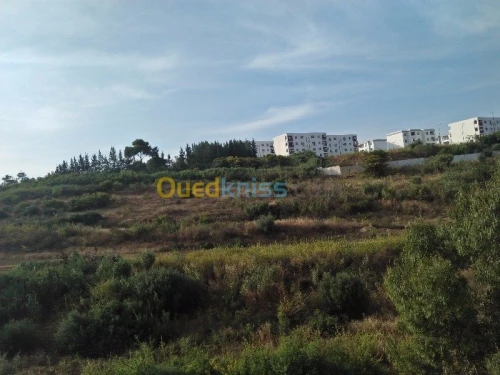 Vente Appartement F5 Alger Kouba