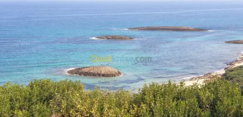 Location vacances Villa El taref El kala
