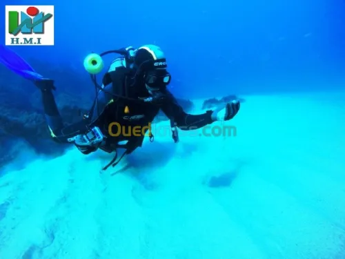 Inspection sous-marine                