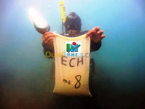Inspection sous-marine                